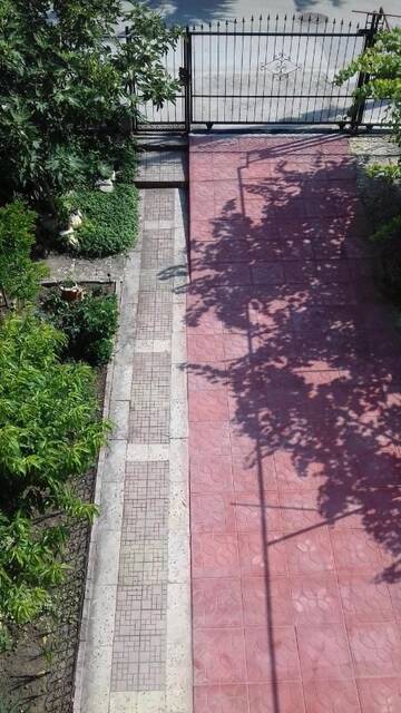 Фото номера Двухместный номер с 1 кроватью и балконом Гостевой дом Guest House Sun г. Кранево 5